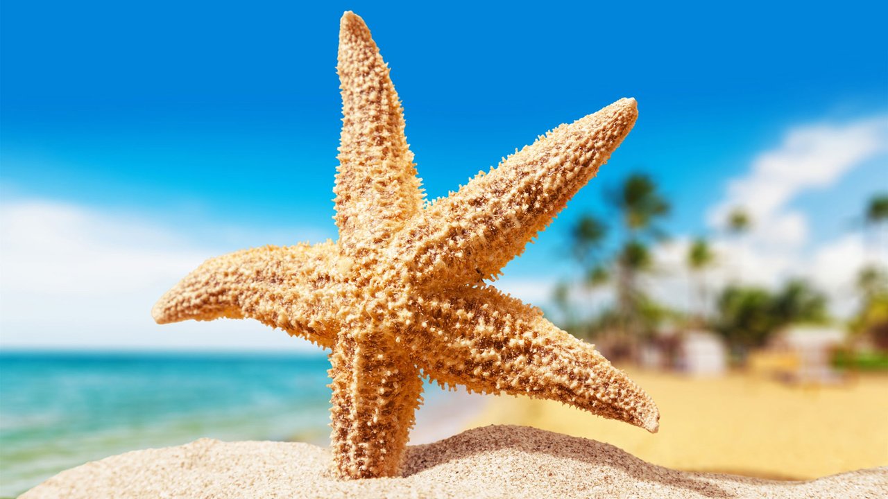 Бай Раш Вем - пляж с морскими звездами